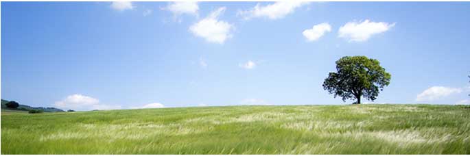 valeurs_environnementales