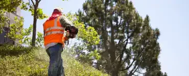 Entretien et maintenance espaces verts